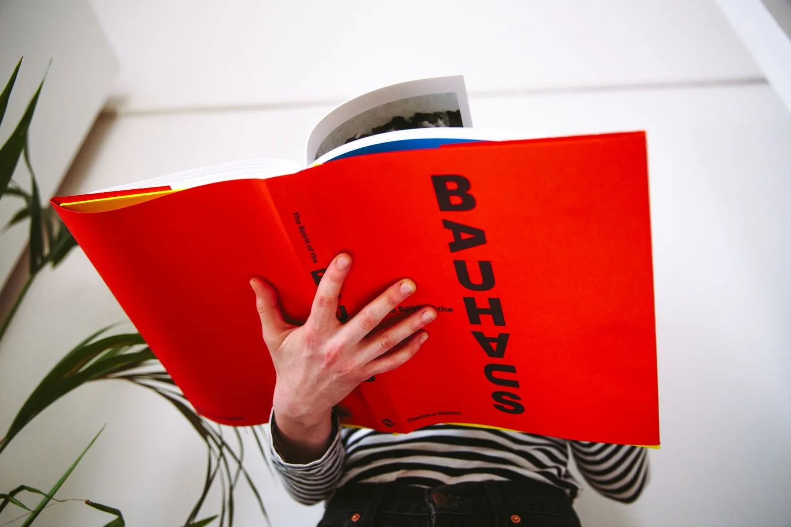 Bauhaus Interior Design: Form Follows Function
